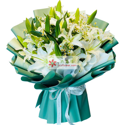 扬州8支白色多头百合洋甘菊，如潮的思念